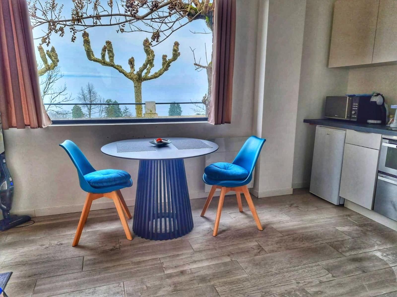Appartement Cozy 2 Panoramique Lac Leman Thonon-Les-Bains Exterior foto